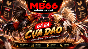 Chi tiết về đá gà cựa dao tại MB66